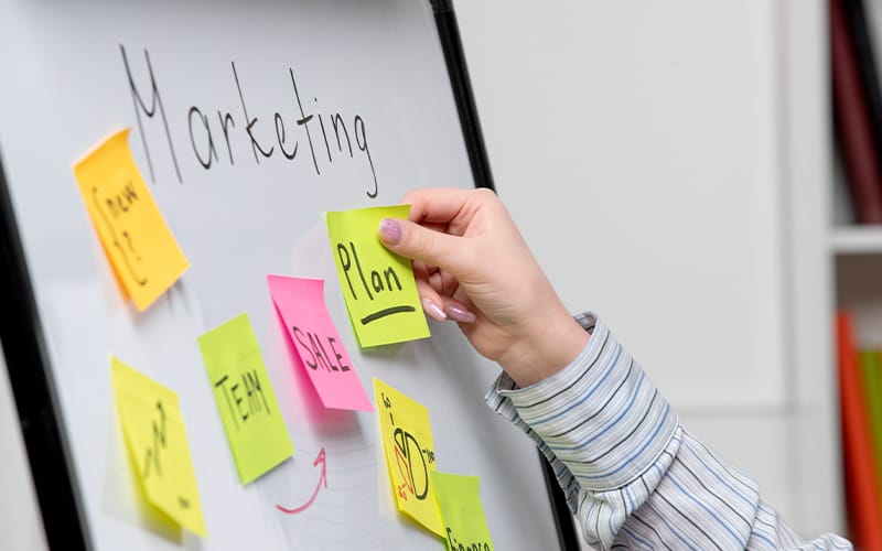 Image for Marketing for schools; creative design 